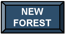 Take a tour of the New Forest